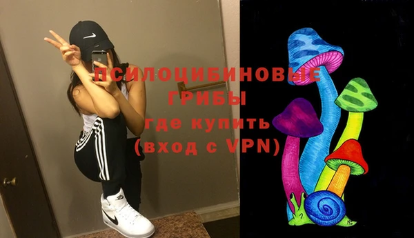 ECSTASY Дмитровск
