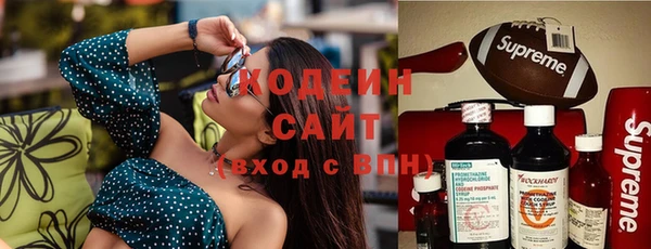 метадон Гусев