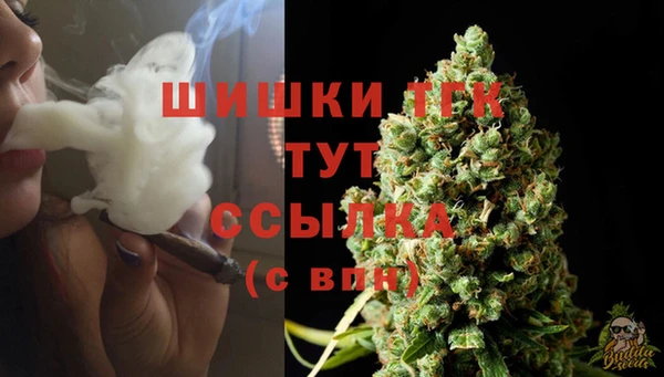 ECSTASY Дмитровск
