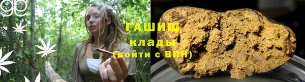 метадон Гусев